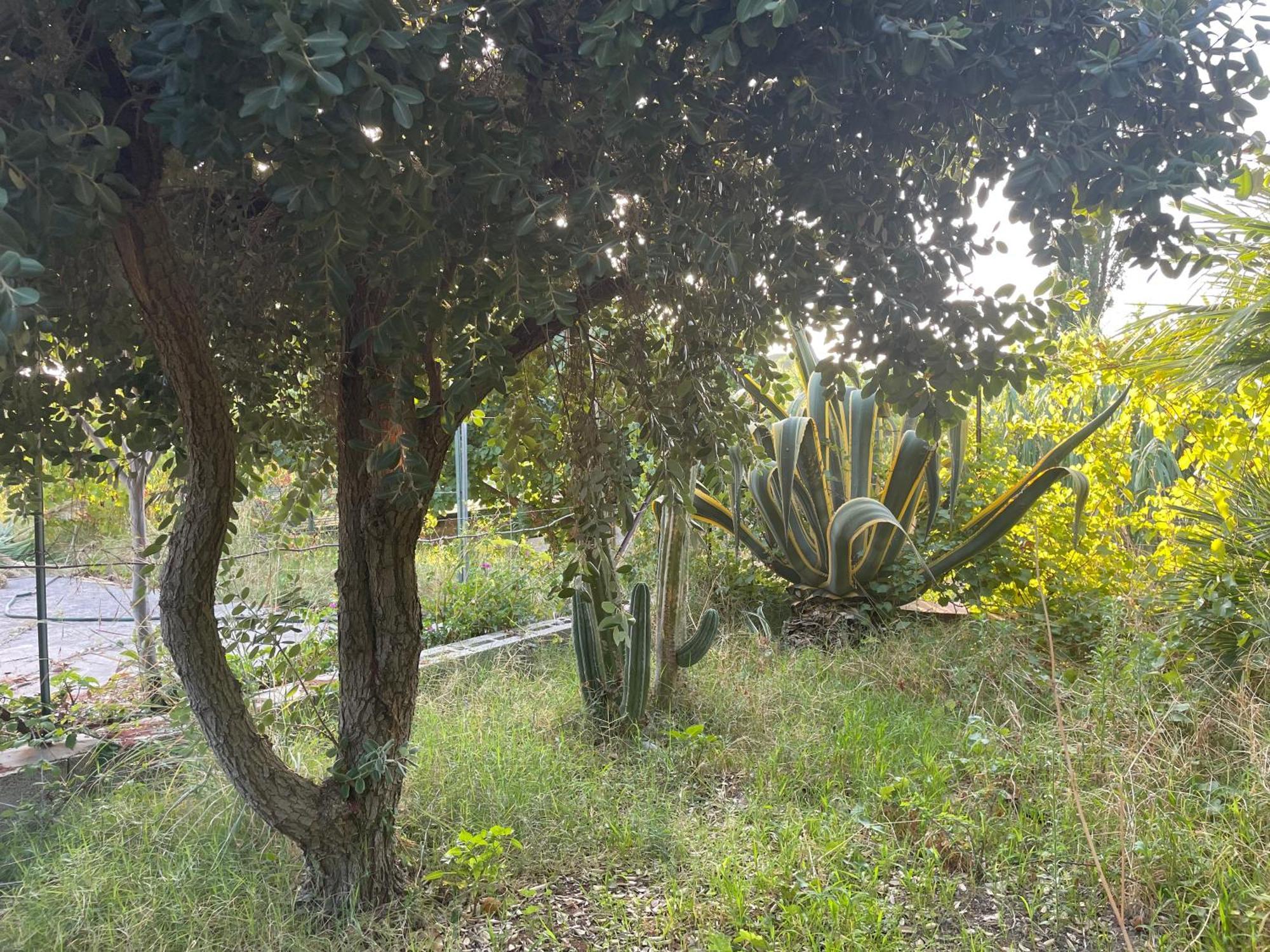 Villa Vittoria Trappeto  Dış mekan fotoğraf